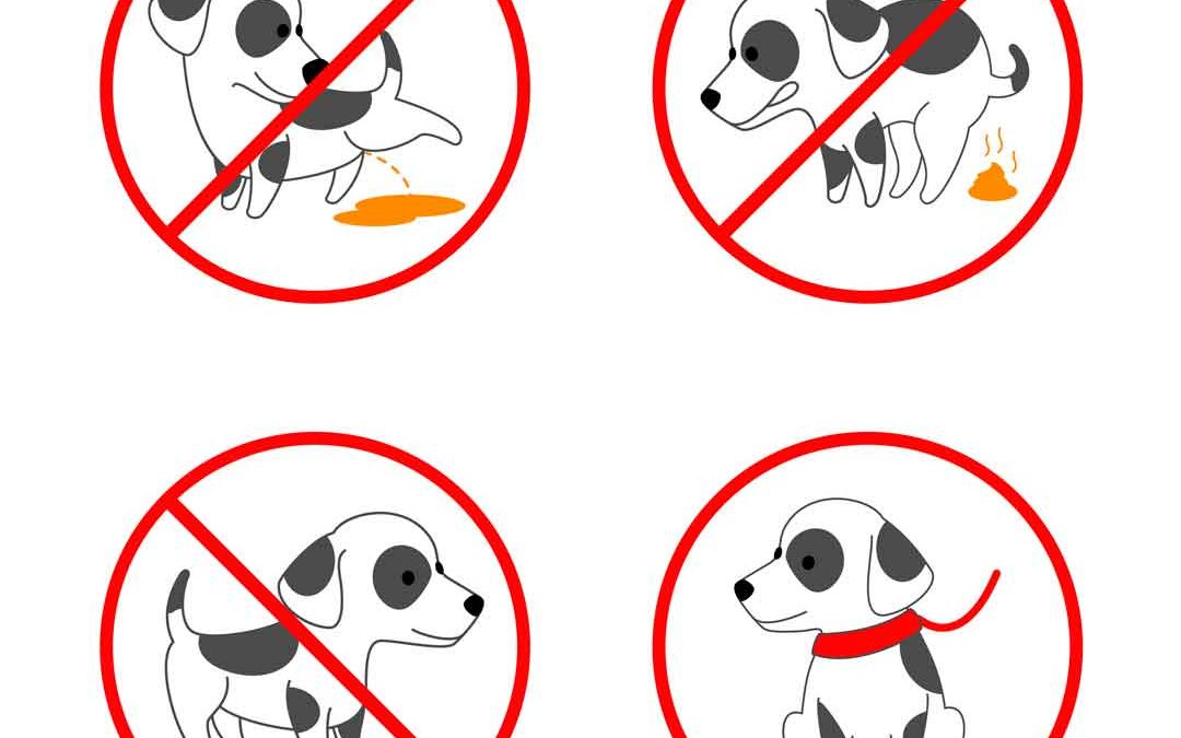 Normas para mascotas en comunidad de vecinos